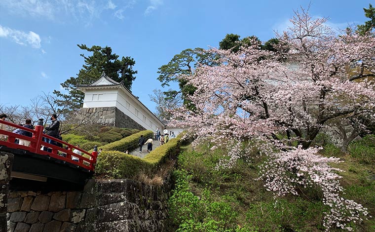小田原城（小田原）
