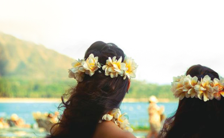 写真はイメージです