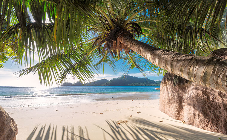 写真はイメージです