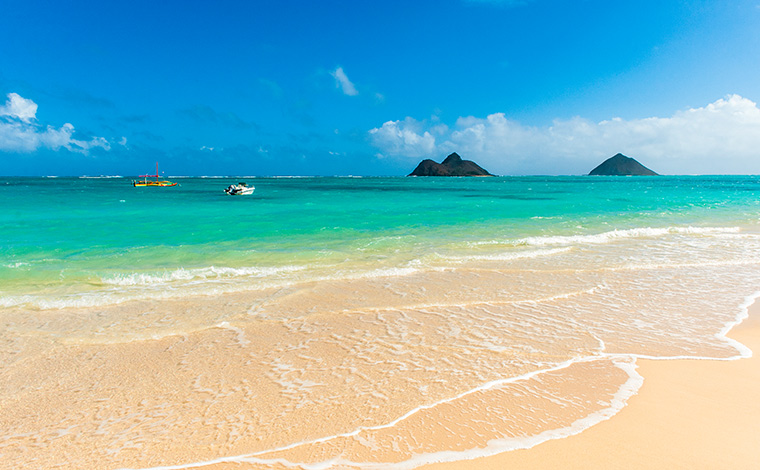 写真はイメージです