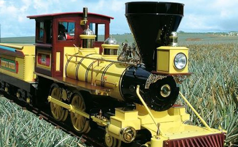 写真提供：ドールプランテーション