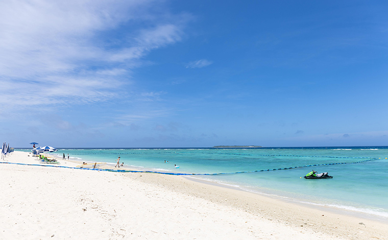 写真提供：Sesoko Masayuki