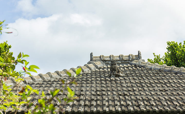 写真提供：Sesoko Masayuki