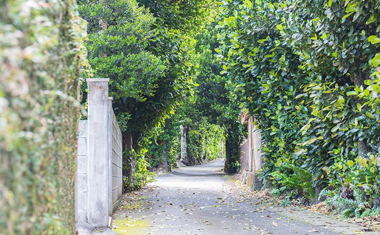 写真提供：Sesoko Masayuki