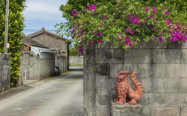 写真提供：Sesoko Masayuki