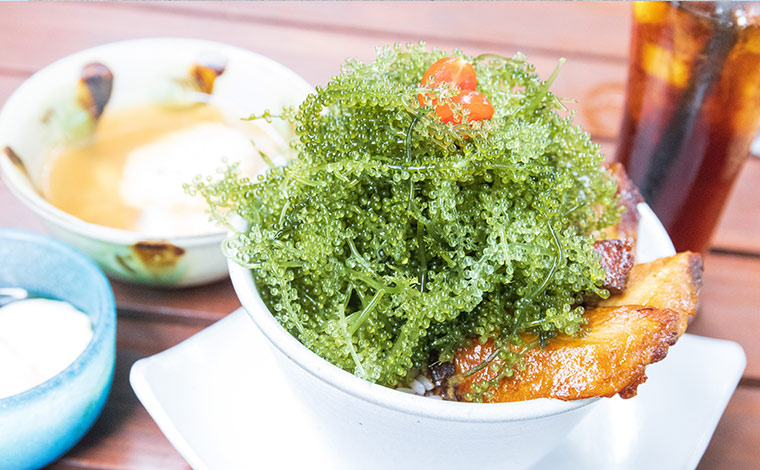 写真提供：Sesoko Masayuki