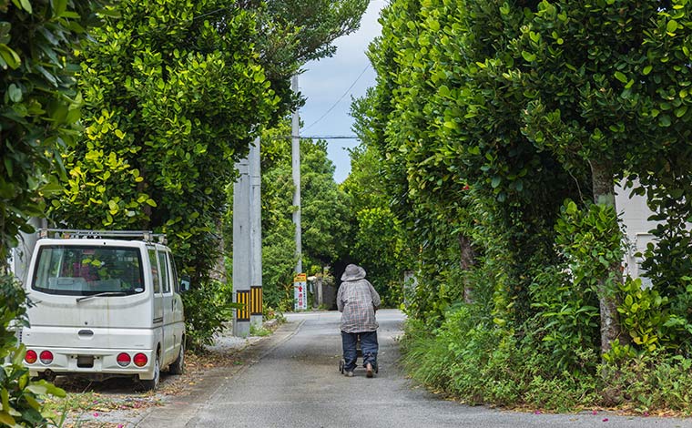 写真提供：Sesoko Masayuki