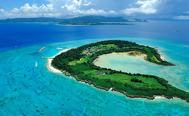 写真提供：本部町観光協会