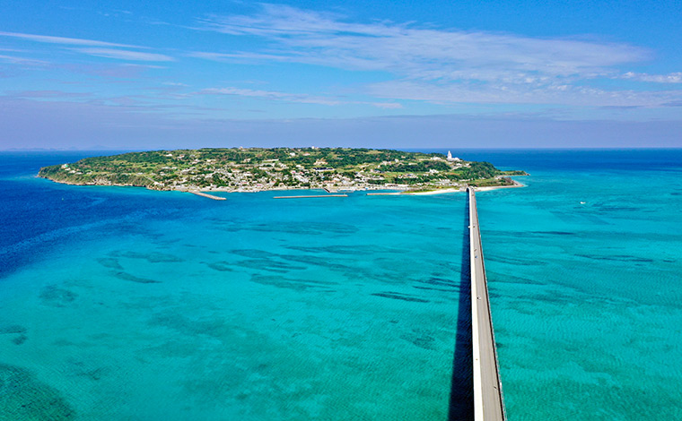 写真提供：今帰仁村観光協会