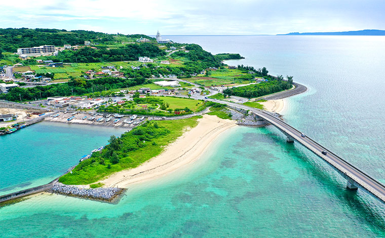 写真提供：今帰仁村観光協会