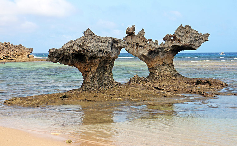 写真提供：今帰仁村観光協会