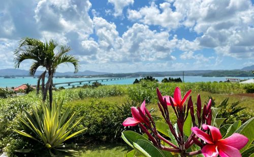 沖縄・瀬底から片道1時間以内！日帰りで気軽に行ける離島3選