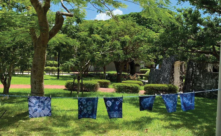 写真提供：藍ぬ葉ぁ農場