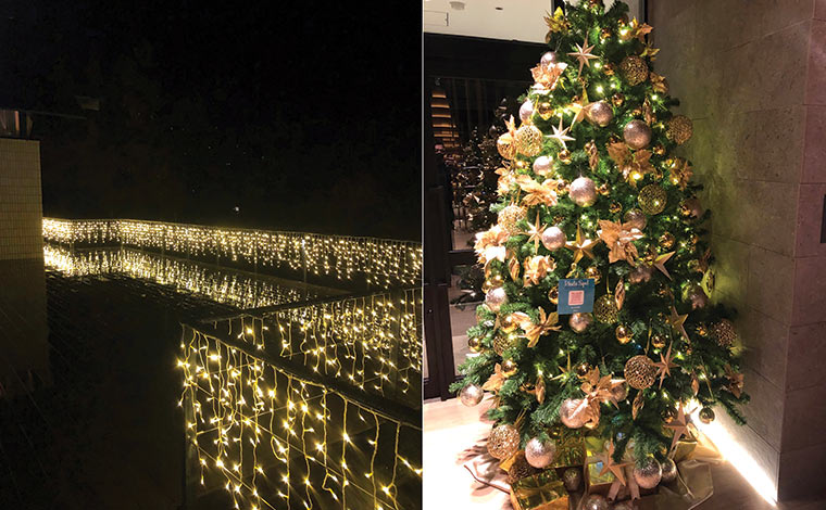 ザ・ベイフォレスト小田原・ヒルトンクラブのクリスマスイルミネーション