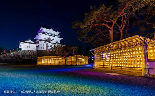 【2023年】桜まつりやみなとまつり！今年注目の小田原イベント＆おまつり