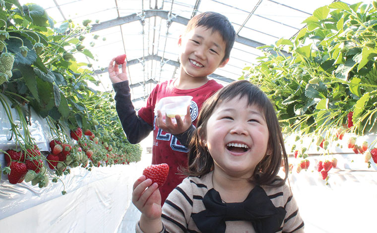 写真提供：AGRIWAYS