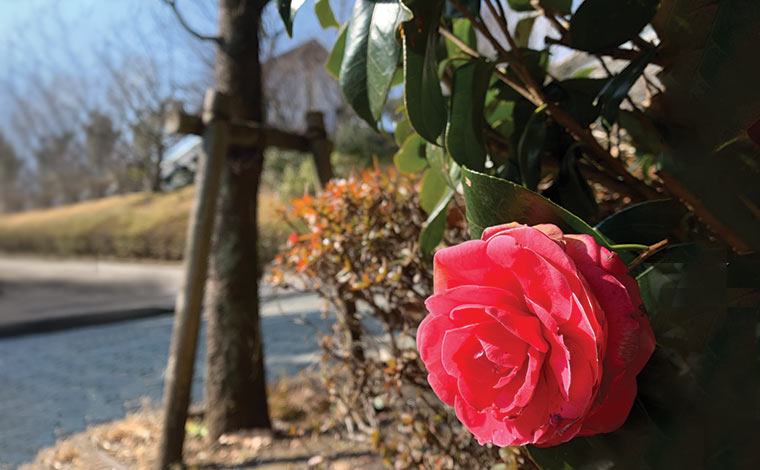 ザ・ベイフォレスト小田原・ヒルトンクラブ