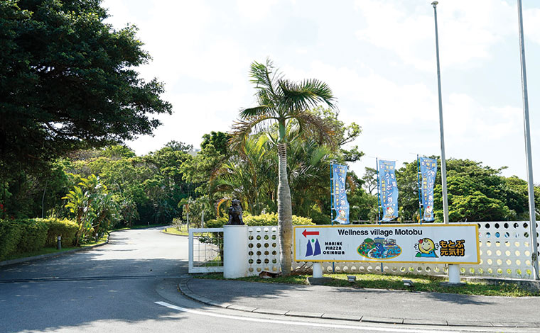 写真提供：Sesoko Masayuki