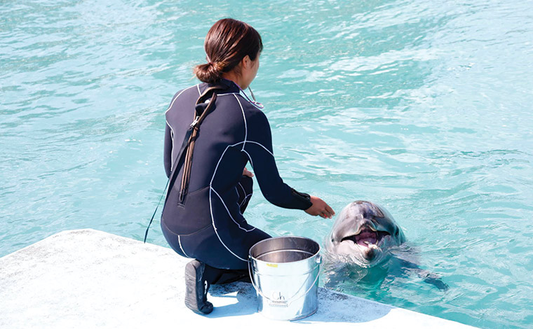 写真提供：Sesoko Masayuki