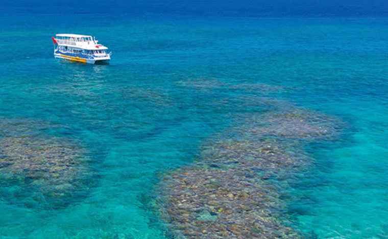 写真提供︓もとぶ元気村