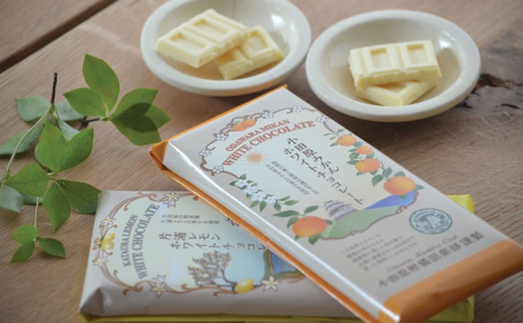 写真提供：報徳仕法株式会社