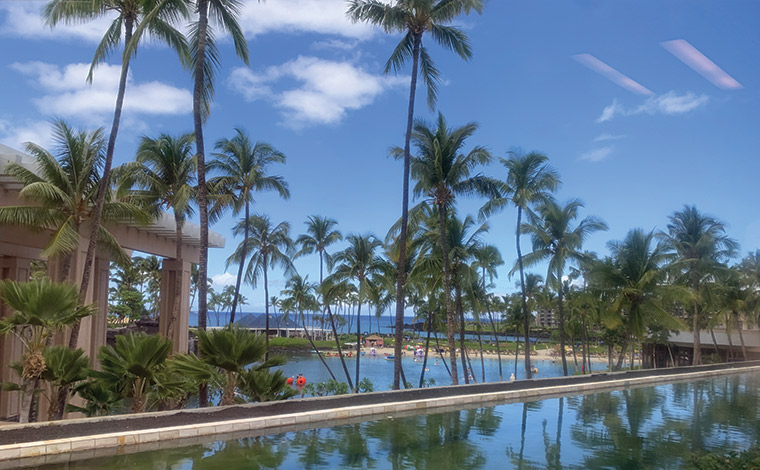 トラムからの風景
