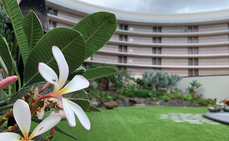 中庭の散策もおすすめ