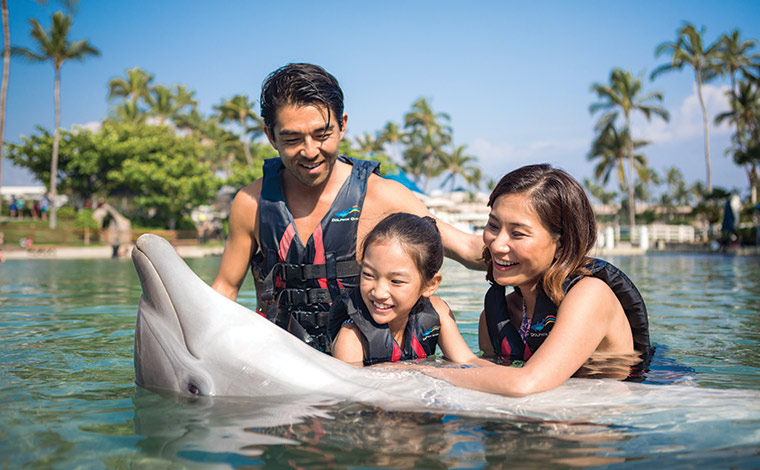 イルカに触れあうことができるドルフィン・クエスト