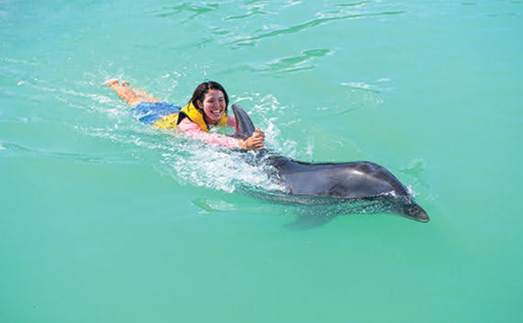 写真提供︓もとぶ元気村