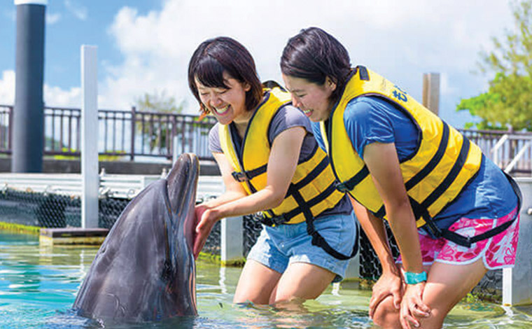 写真提供︓もとぶ元気村