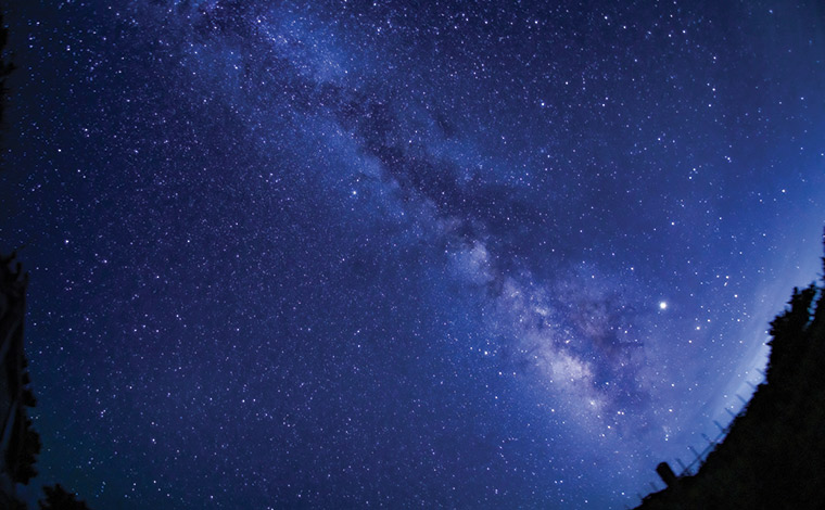 写真提供：本部町観光協会