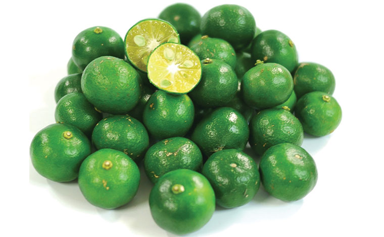 写真提供：道の駅許田