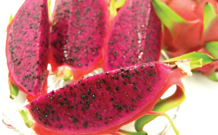 写真提供：道の駅許田