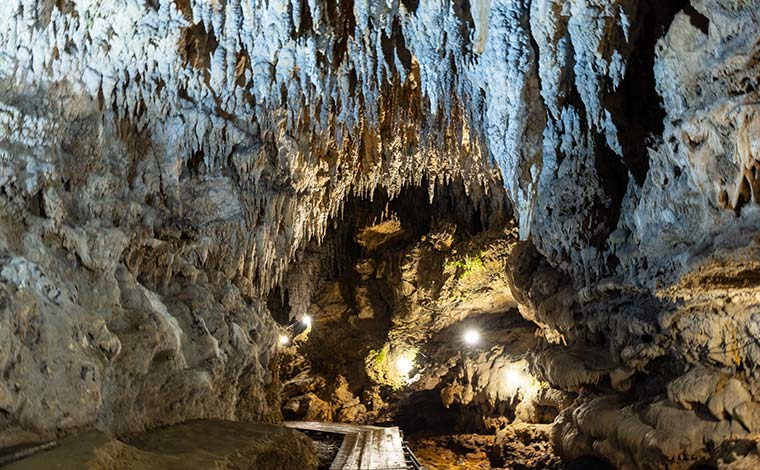 写真提供：Sesoko Masayuki