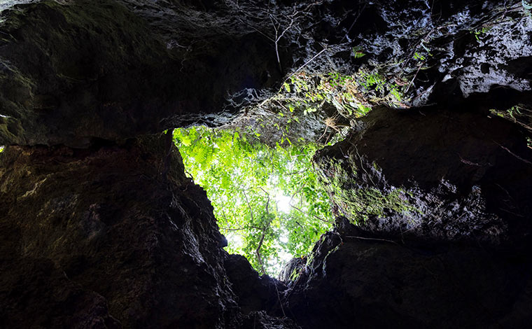 写真提供：Sesoko Masayuki