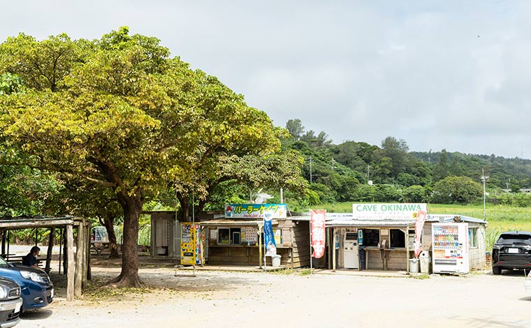 写真提供：Sesoko Masayuki