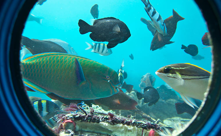 写真提供：© OCVB