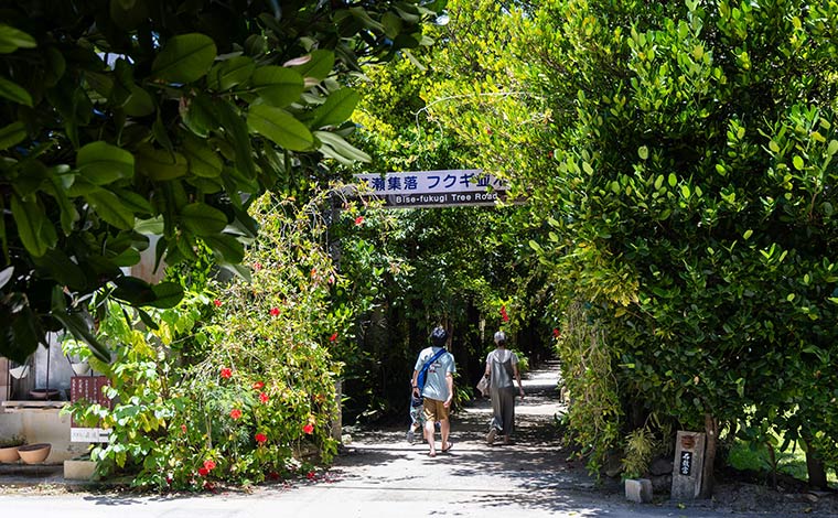 写真提供：Sesoko Masayuki