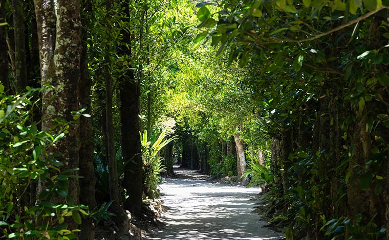 写真提供：Sesoko Masayuki