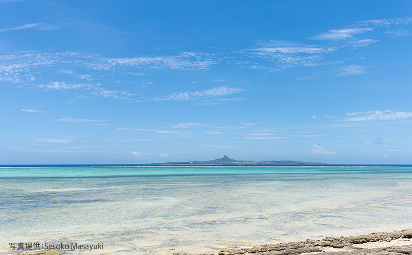 夏を楽しむ沖縄1Dayプラン