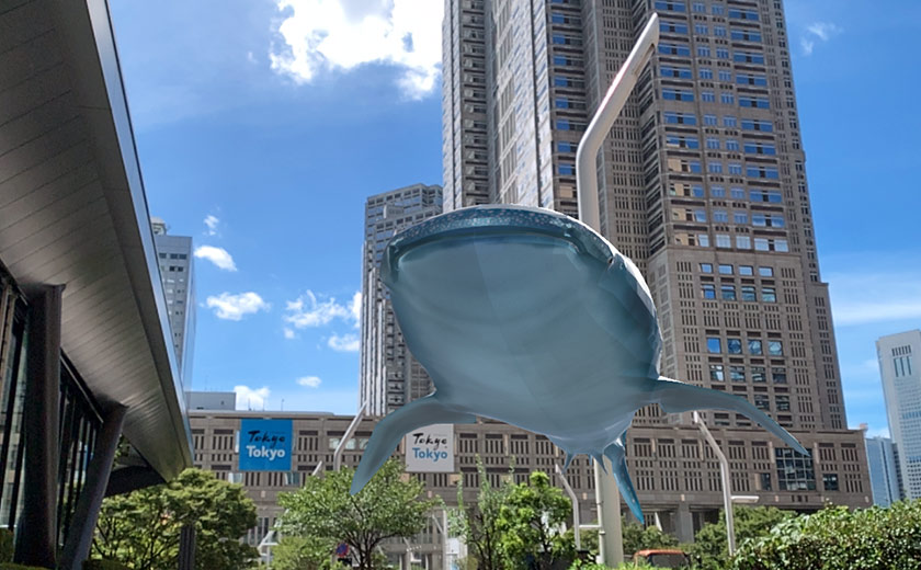 ARジンベエザメ