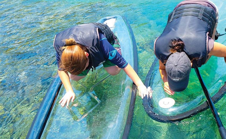 写真提供／瀬底ビーチマリンクラブ