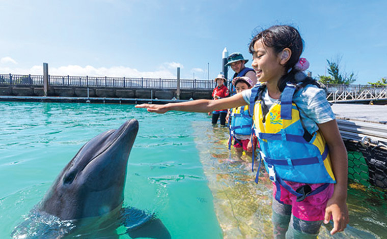 写真提供／もとぶ元気村