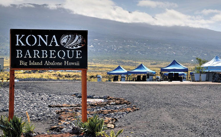 写真提供／Media etc.