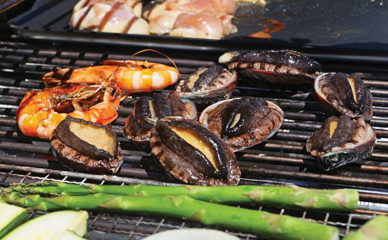 写真提供／Media etc.