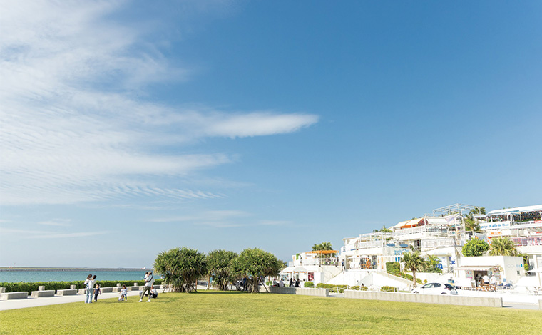 写真提供：Sesoko Masayuki