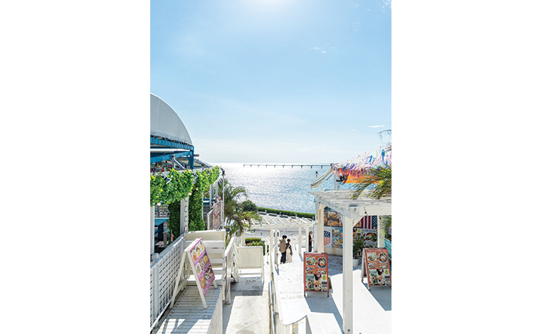 写真提供：Sesoko Masayuki