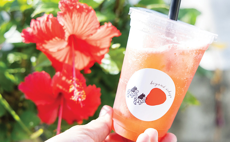 沖縄県内最大級のいちご農園直営・美らイチゴの「食べるいちごのレモネード」は絶品！　写真提供：Sesoko Masayuki