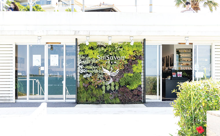 Sui Savon 首里石鹸　写真提供：Sesoko Masayuki