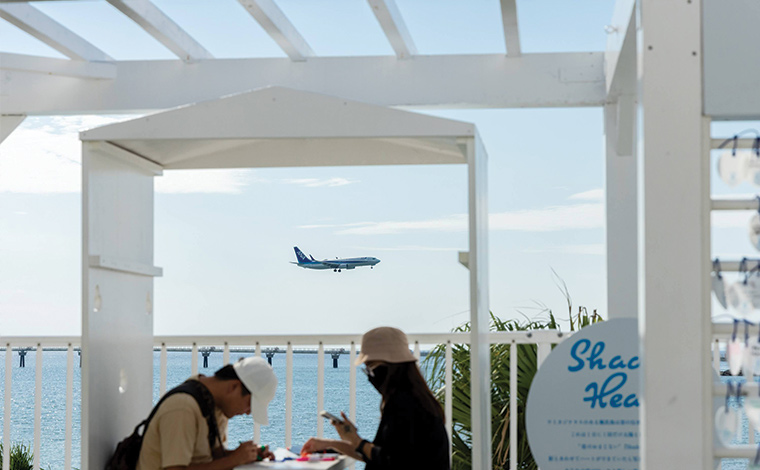 写真提供：Sesoko Masayuki